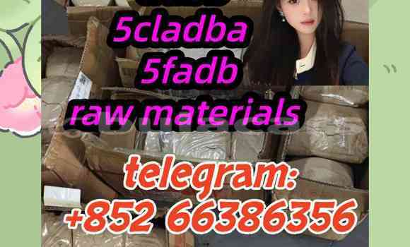 Medium with watermark 2