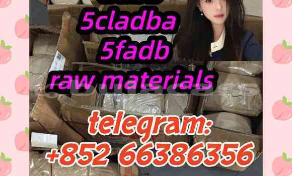 Medium with watermark 4