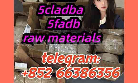 Medium with watermark 5