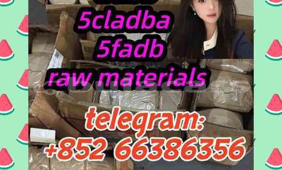 Medium with watermark 7