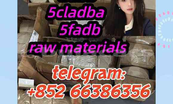 Medium with watermark 8