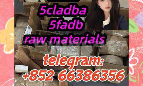 Medium with watermark 10