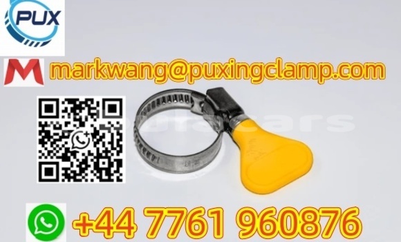 201/304 hose clamp Stock