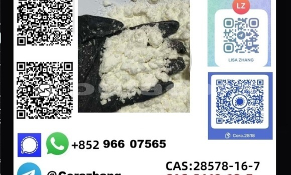 Buy New Alpina B3 Grey Car in Korokade in Northern