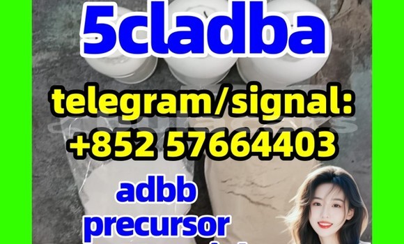 Medium with watermark 5cl2