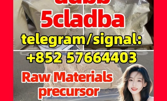 Medium with watermark 52