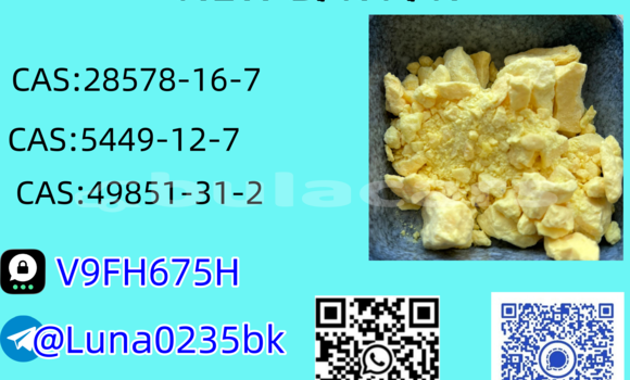 Buy Used Alfa Romeo 145 Beige Car in Barotu in Western