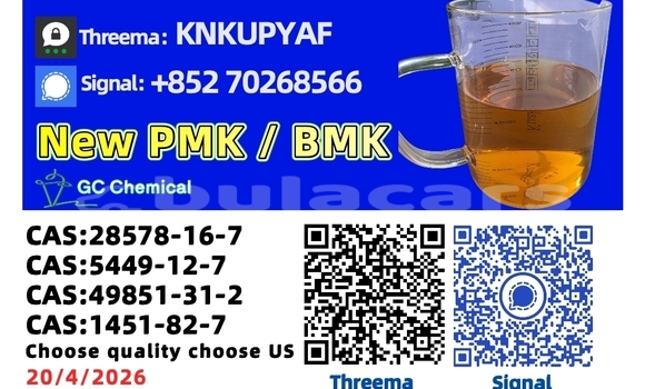 Buy Used Alpina B3 Brown Car in Korokade in Northern