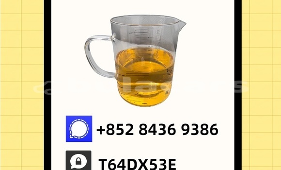 Buy Used Bertone Freeclimber Blue Car in Nasasa in Northern