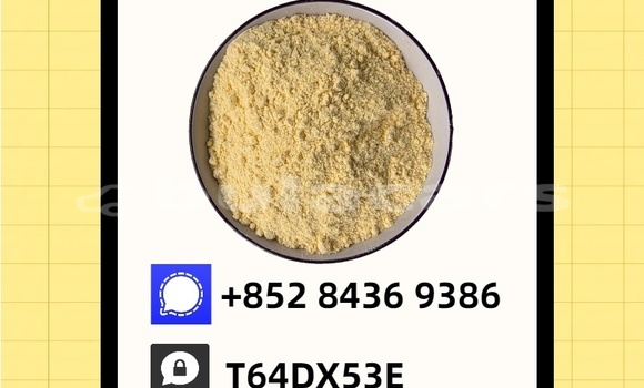 Buy Used Acura EL Blue Car in Korokade in Northern