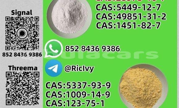 Buy Used Coggiola T Rex Blue Car in Nasoki in Eastern