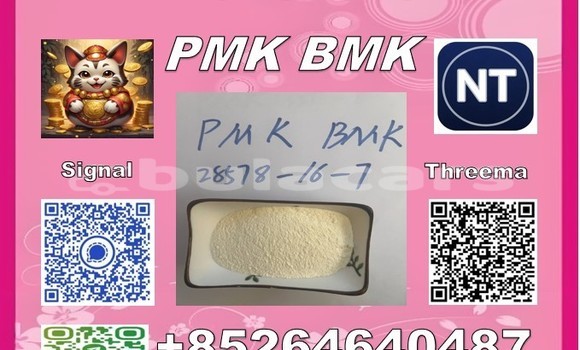 Medium with watermark 20