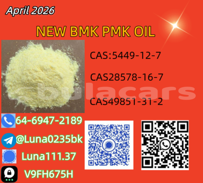 Big with watermark abarth 500 western barotu 14057