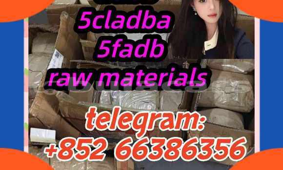 Medium with watermark 4