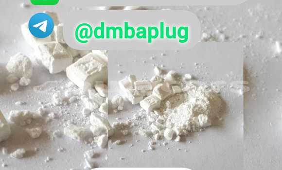 Buy 1451-82-7 BK4 Powder