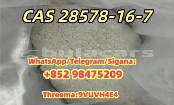 Buy New Amazonas 1600 Brown Bike in Import - Dubai in Central