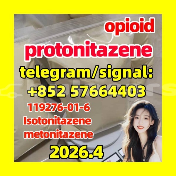 Big with watermark pro2