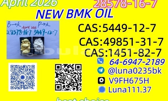 Buy Used AC Ace Black Car in Barotu in Western