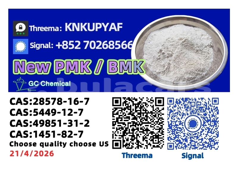 Big with watermark bristol blenheim northern korokade 14159