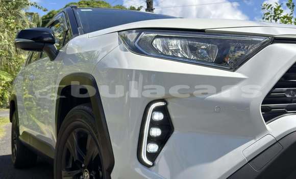 Buy Used Toyota RAV4 White Car in Suva in Central