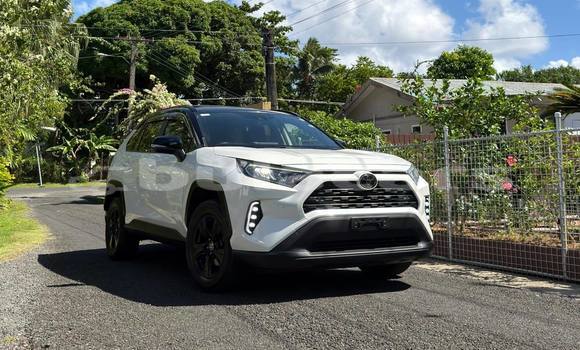 Buy Used Toyota RAV4 White Car in Suva in Central Buy Used Toyota RAV4 White Car in Suva in Central