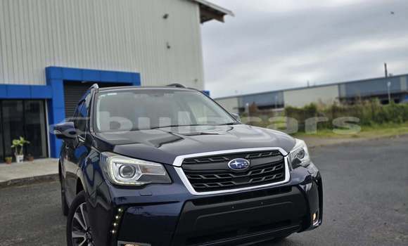 Buy Used Subaru Forester Black Car in Suva in Central