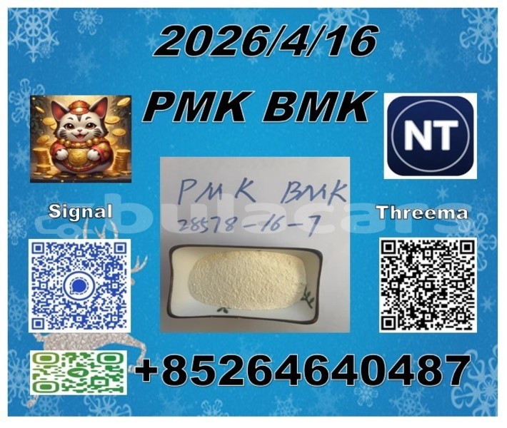 Big with watermark 91