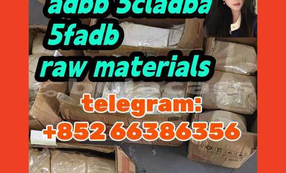 Medium with watermark 2