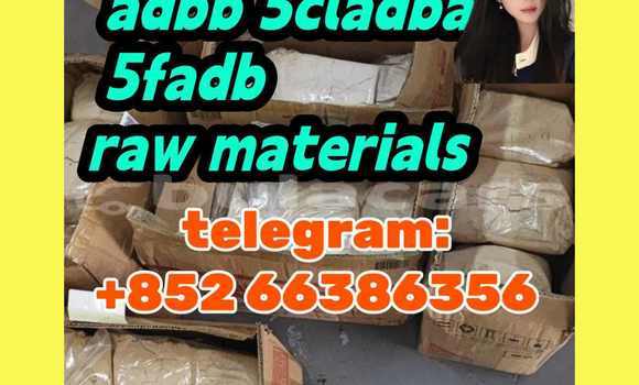 Medium with watermark 4