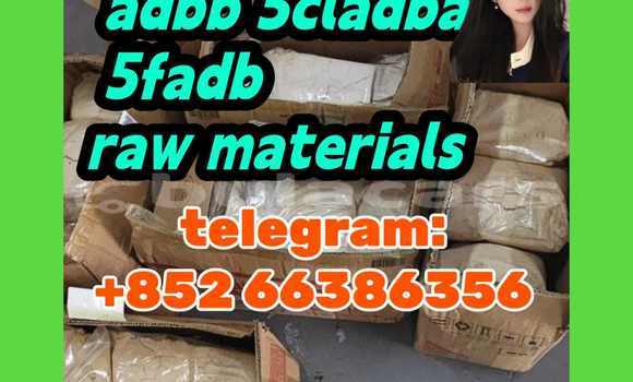 Medium with watermark 5