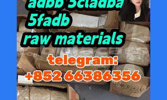 Medium with watermark 6