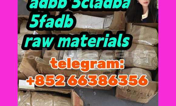 Medium with watermark 7