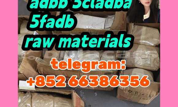 Medium with watermark 9