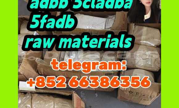 Medium with watermark 10