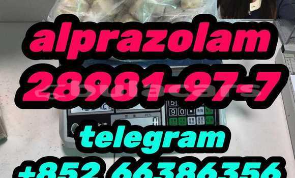 Medium with watermark 12