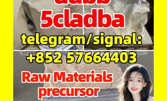 Medium with watermark 53