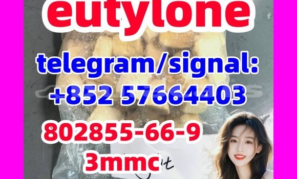 Medium with watermark e3