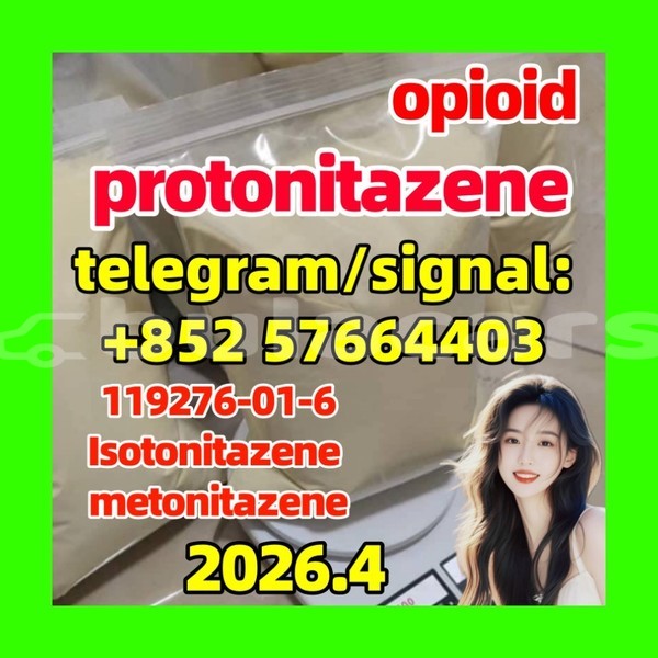 Big with watermark pro3