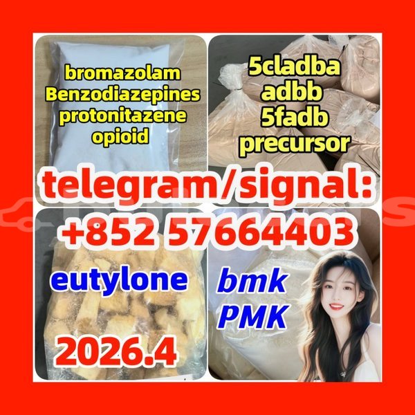 Big with watermark z3