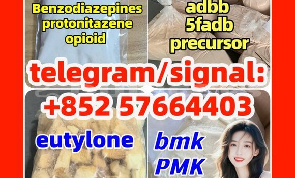 Medium with watermark z3