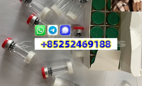 Buy Peptide Peptides Powder in Komave in Western Buy Peptide Peptides Powder in Komave in Western