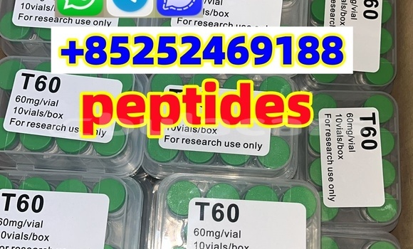 Buy Hot Sale Tirzepatide in Lami in Central Buy Hot Sale Tirzepatide in Lami in Central