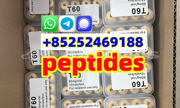 Buy Peptides Tirzepatide 1 in Lekutu in Northern Buy Peptides Tirzepatide 1 in Lekutu in Northern