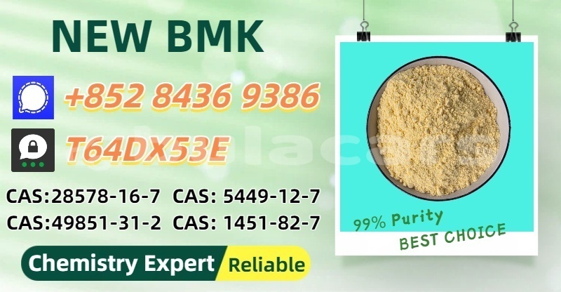 Big with watermark bertone freeclimber central navua 14287