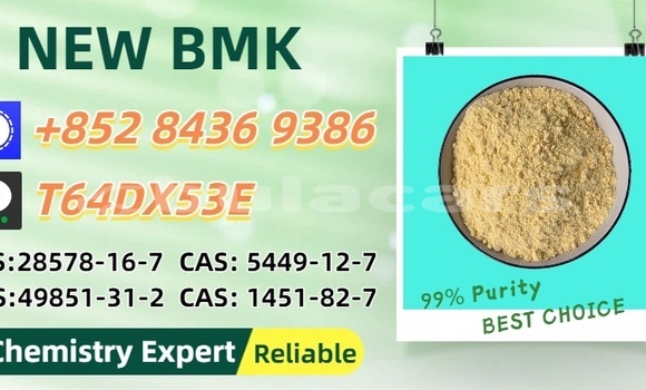 Buy Used Bertone Freeclimber Black Car in Navua in Central