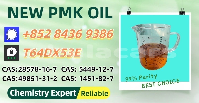 Big with watermark bertone freeclimber central nasinu 14288