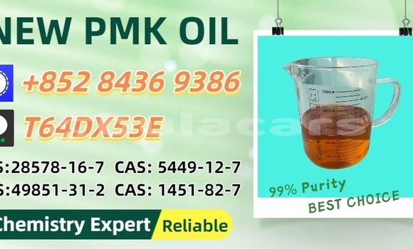 Buy Used Bertone Freeclimber Brown Car in Nasinu in Central