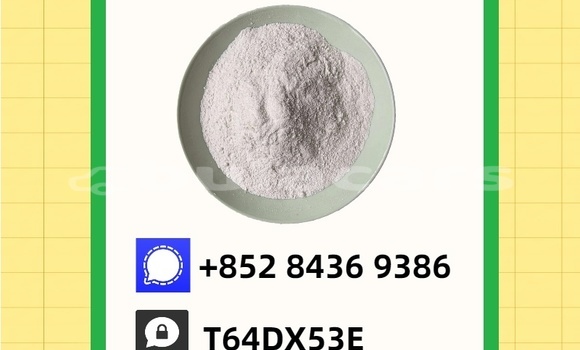 Buy Used Bertone Freeclimber Brown Car in Nacula Village in Western