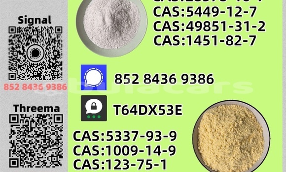 Buy Used Bedford CFS Blue Car in Pacific Harbour in Central