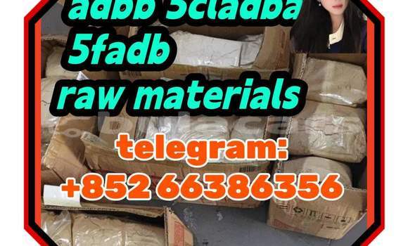 Medium with watermark 2